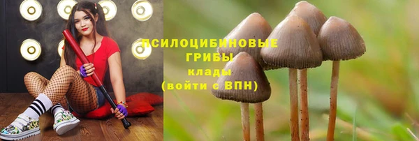 кристаллы Михайловск