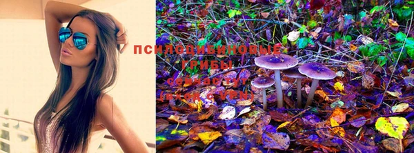 mdpv Михайлов