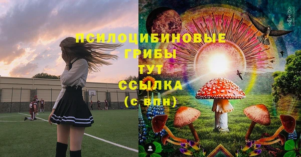 mdpv Михайлов