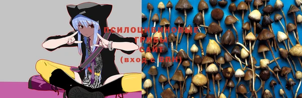 apvp Мегион