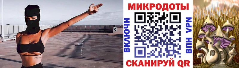 Галлюциногенные грибы Psilocybine cubensis  Торопец 